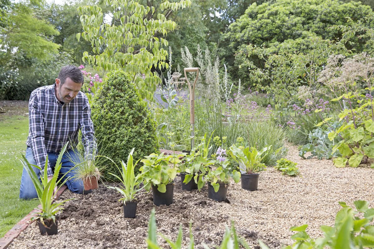 Adam zet de planten in zijn grindtuin.