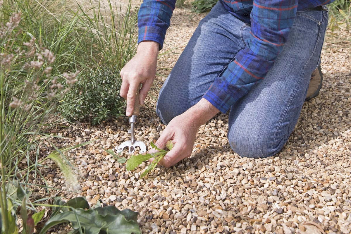 Onkruid verwijderen in een grindtuin