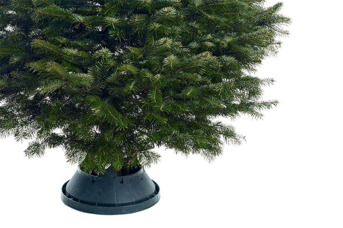 Een kerstboom op een boomstandaard