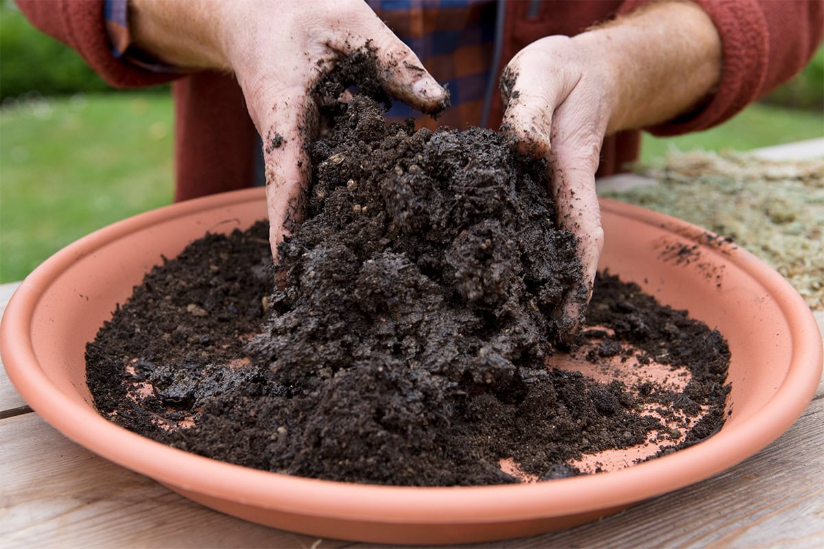 Meng het potgrondmengsel.