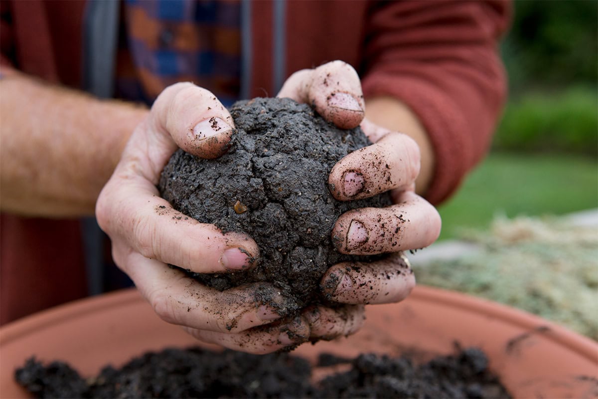 Kneed het potgrondmengsel in een bal.