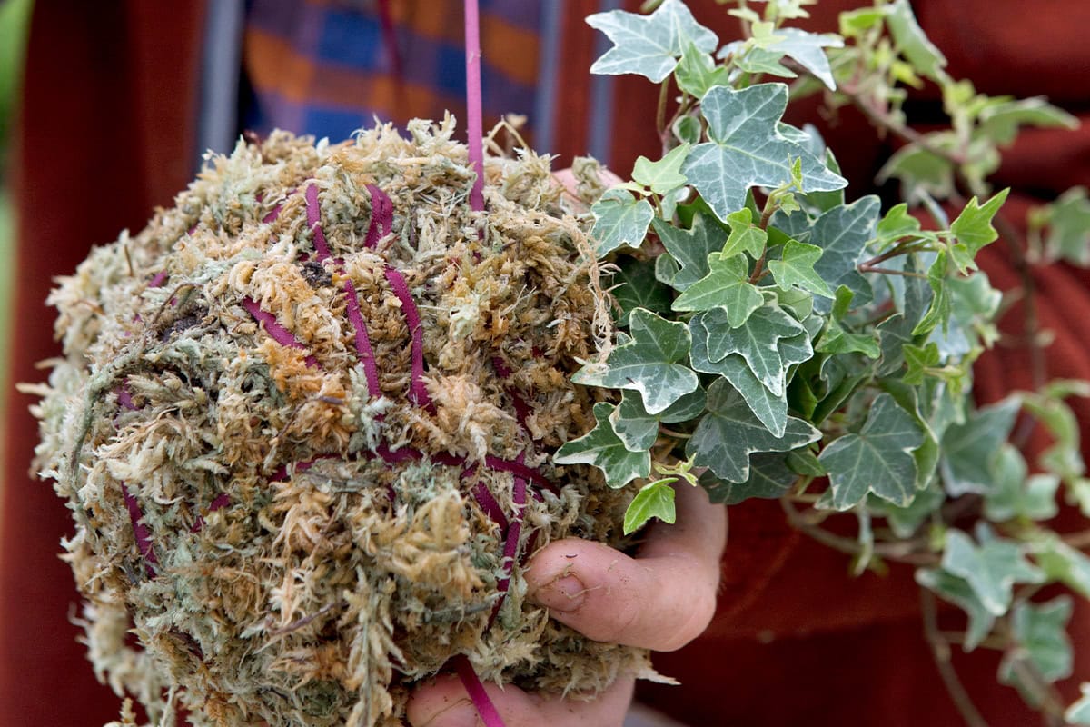 Bind de mosbal samen met tuintouw.