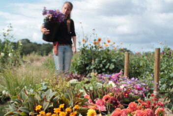 Bloemenboerin Lies met een mand vol bloemen in een veld met bloemen in diverse kleuren.