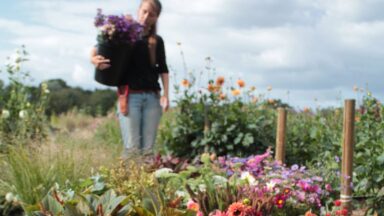 Bloemenboerin Lies met een mand vol bloemen in een veld met bloemen in diverse kleuren.