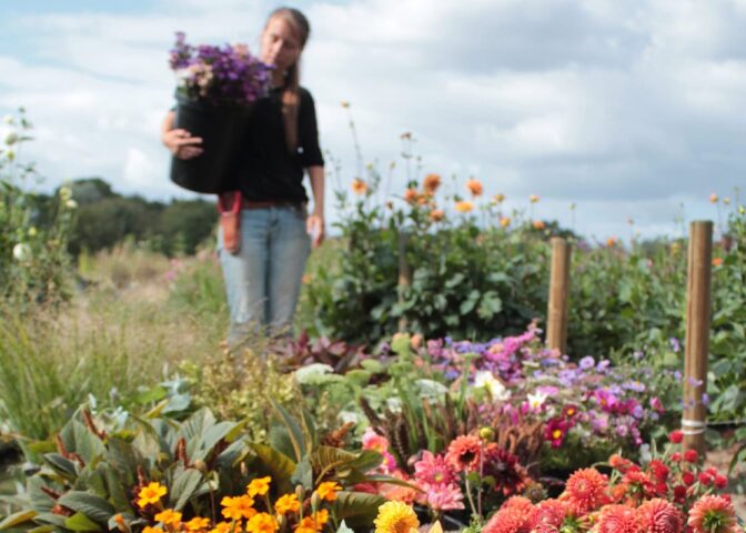 Bloemenboerin Lies met een mand vol bloemen in een veld met bloemen in diverse kleuren.