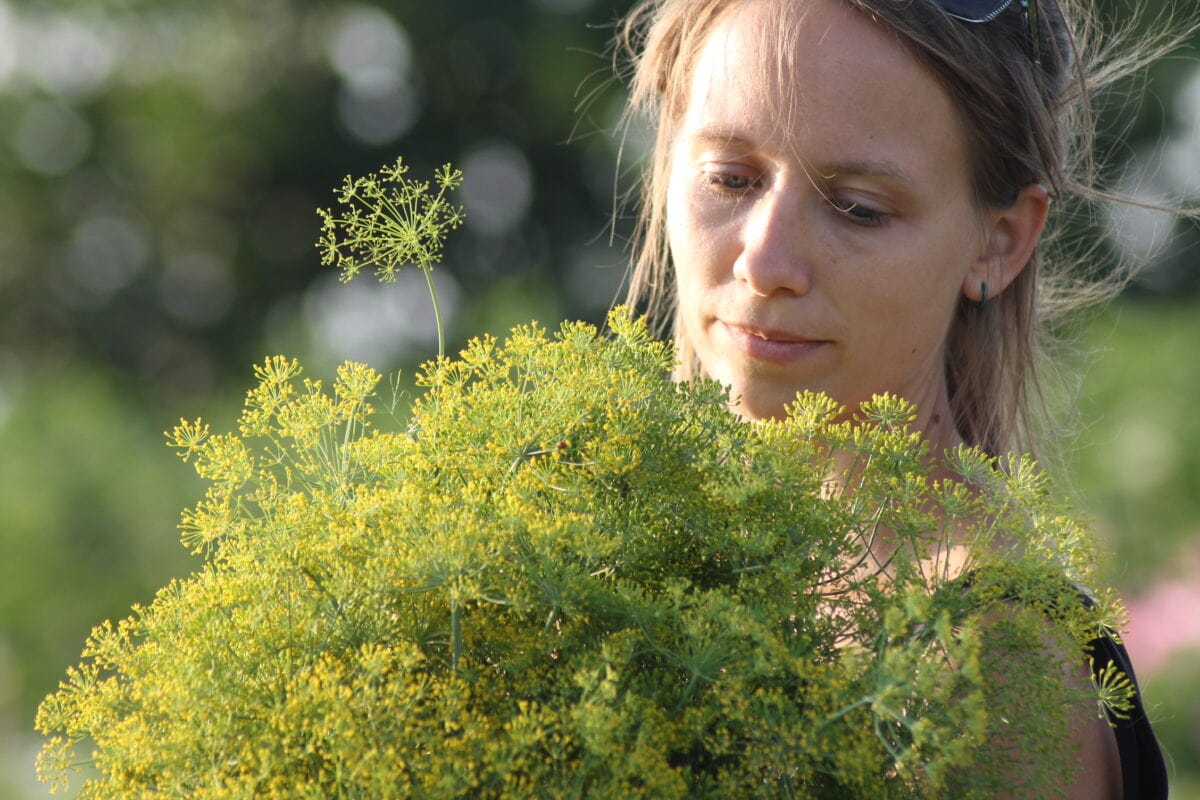 Lies met een bos schermbloemen van dille.