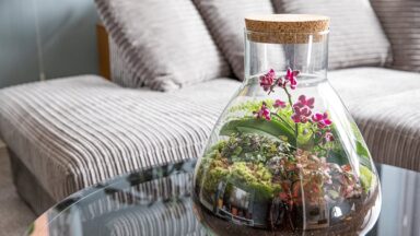 Planten in glazen fles met kurken dop op glazen tafel.