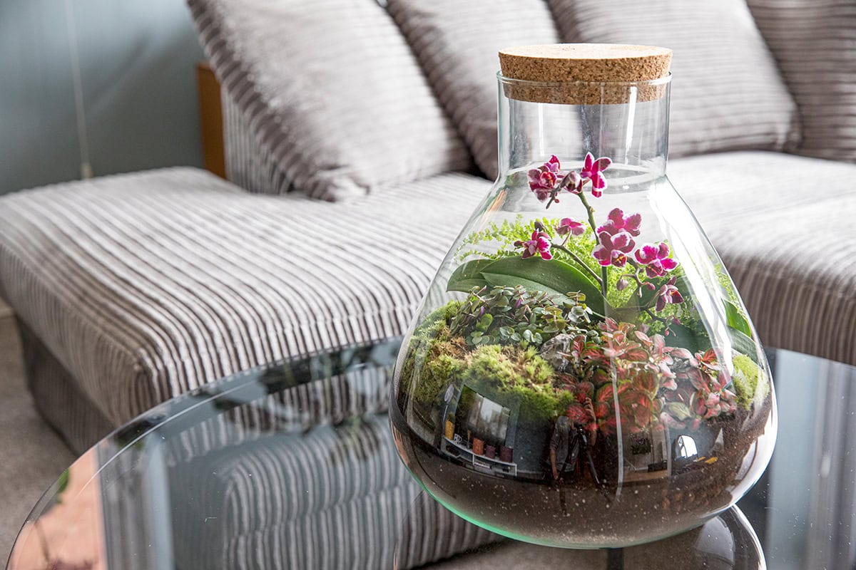 Glazen fles met minituin vol planten