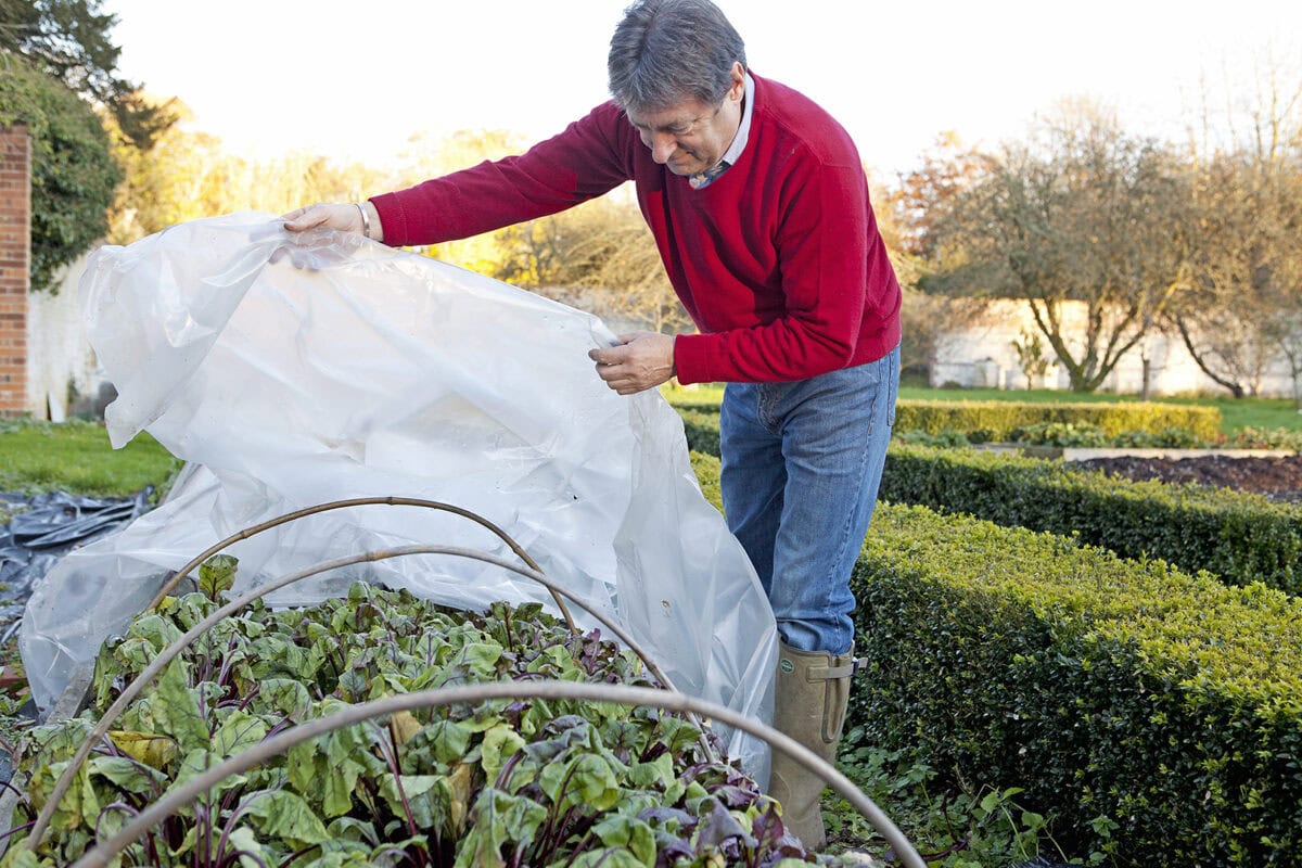 Man zet een tunnel van plastic over zijn planten heen.