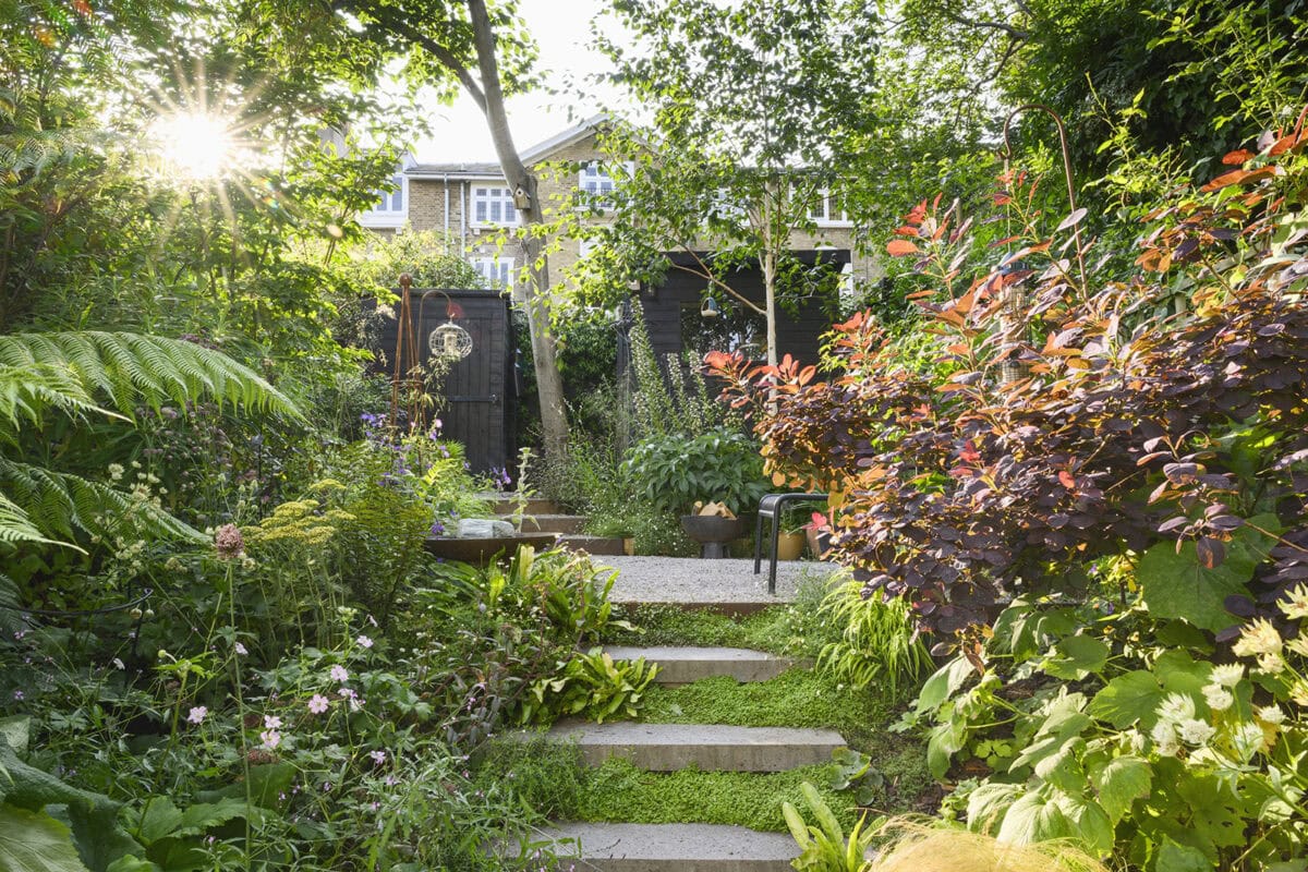 Een achtertuin die rijkelijk is geplant en de zon die doorkomt.