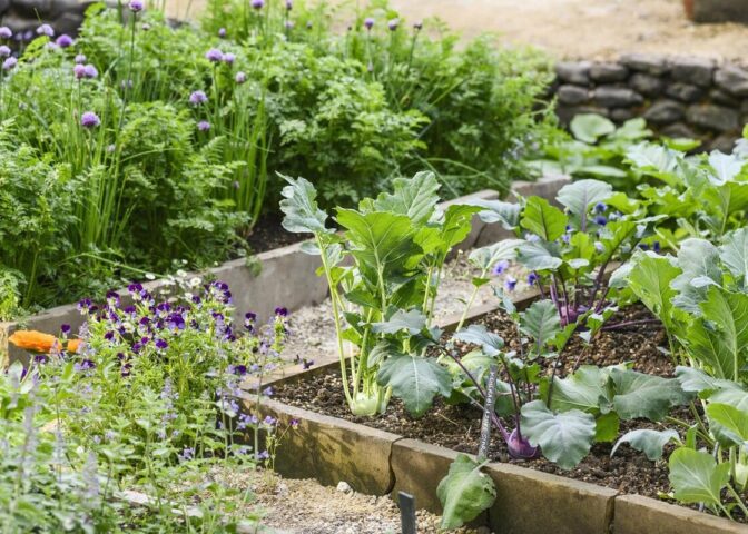 een moestuin aanleggen kan in elk seizoen