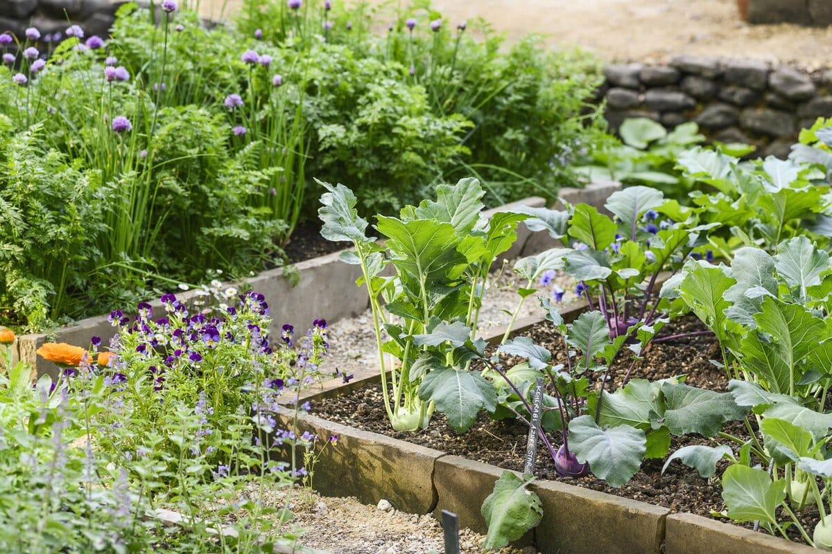 een moestuin aanleggen kan in elk seizoen