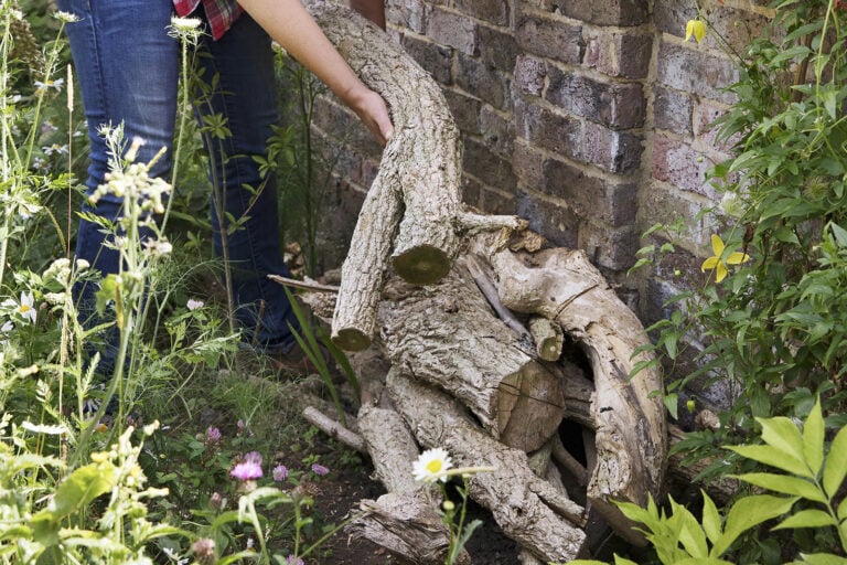 Sarah Cuttle Meer bijen in de tuin? Volg deze 8 tips! - Gardeners World