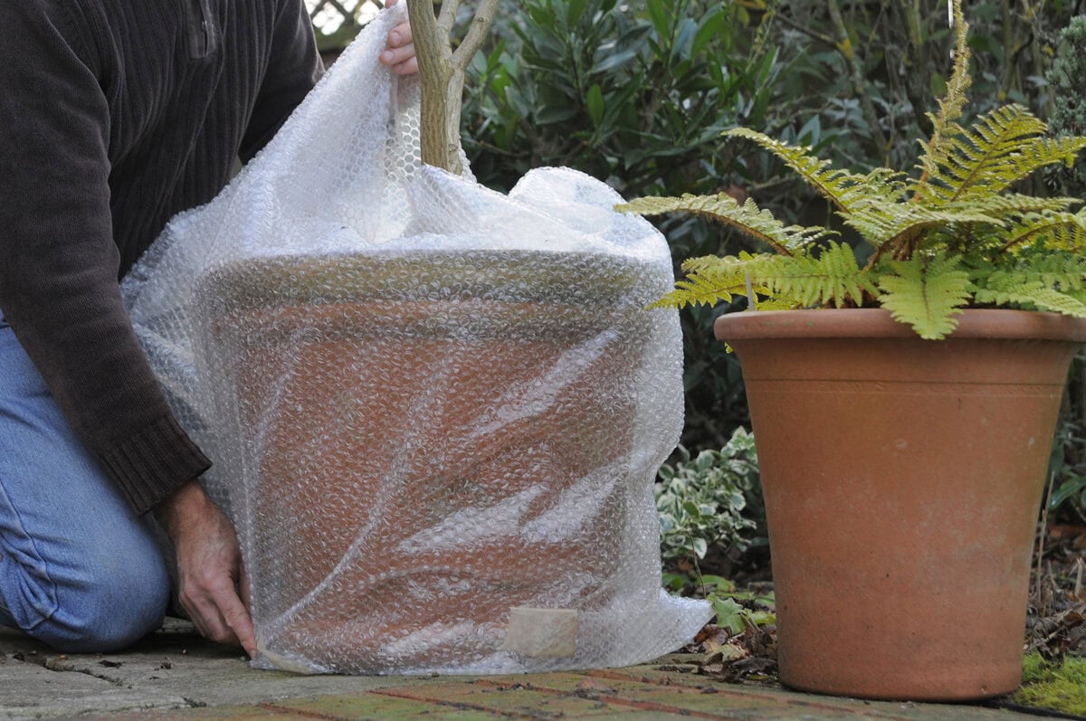 Man pakt plant in pot in met noppenfolie.