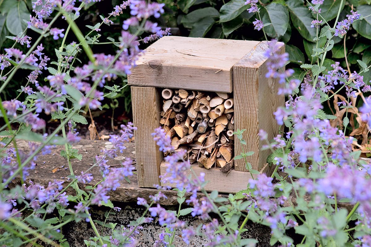 Houten frame met takken tussen bloeiende planten