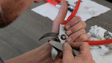 Man slijpt een bypass-snoeischaar met een diamantvijl.