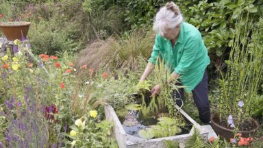 Vrouw maakt tijnvijver in tuin met veel bloemen en dichte beplanting voor tuindieren.