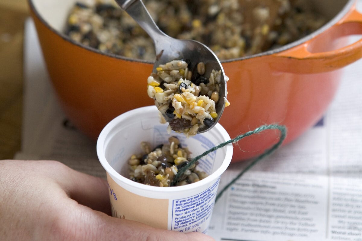 Iemand vult een plastic bakje met vogelvoer.