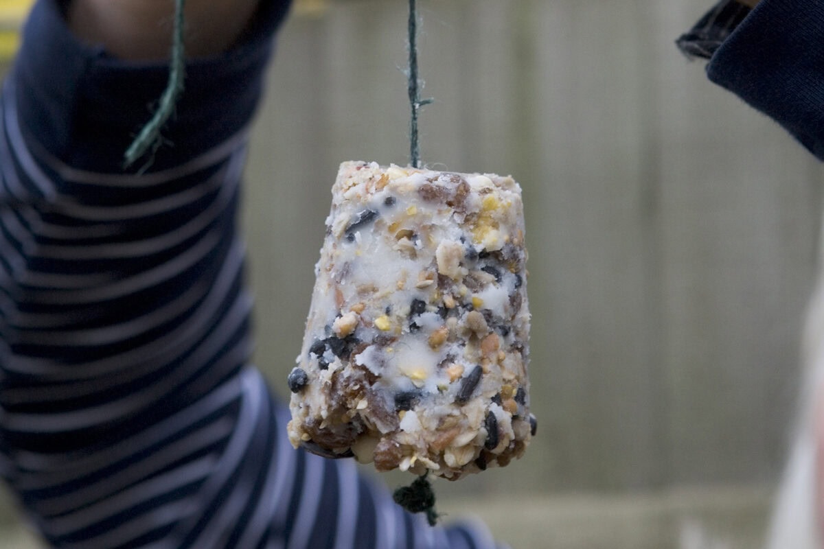 Iemand hangt een zelfgemaakte vetbol voor vogels aan een tak.