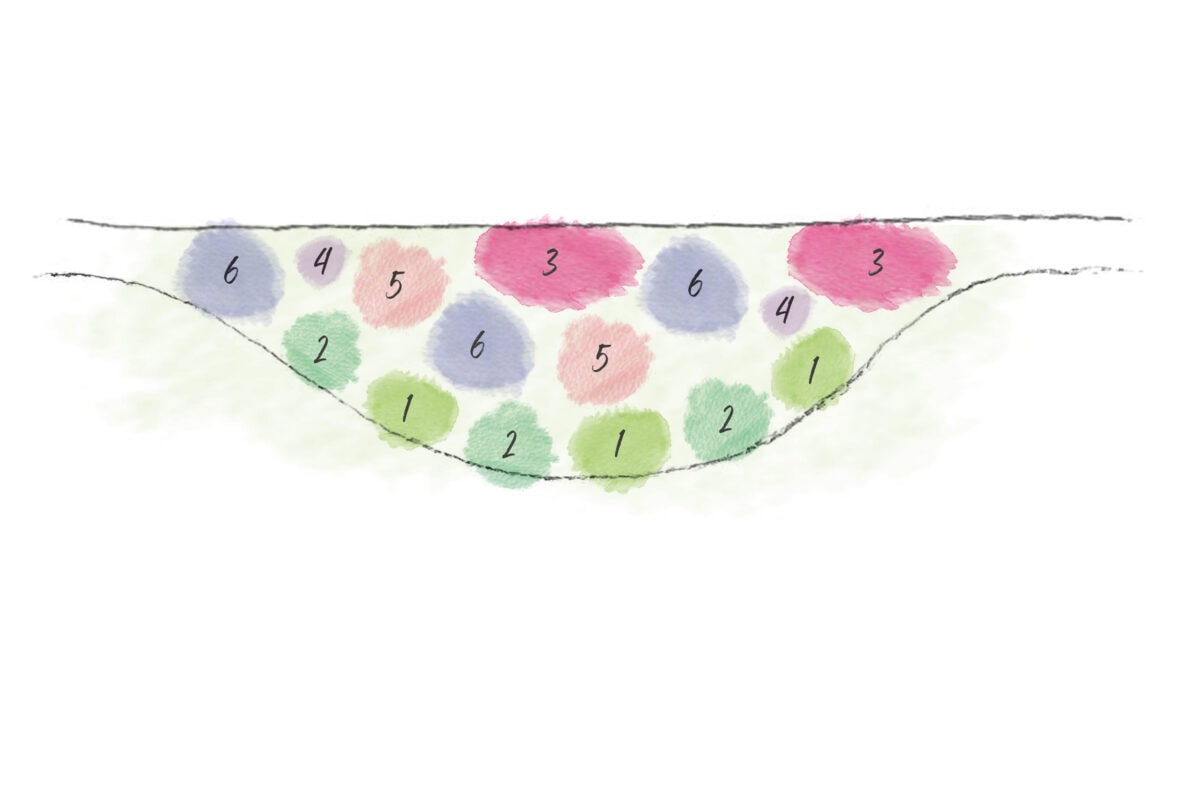 Voorbeeld van een getekend vlekkenplan met groepjes planten.