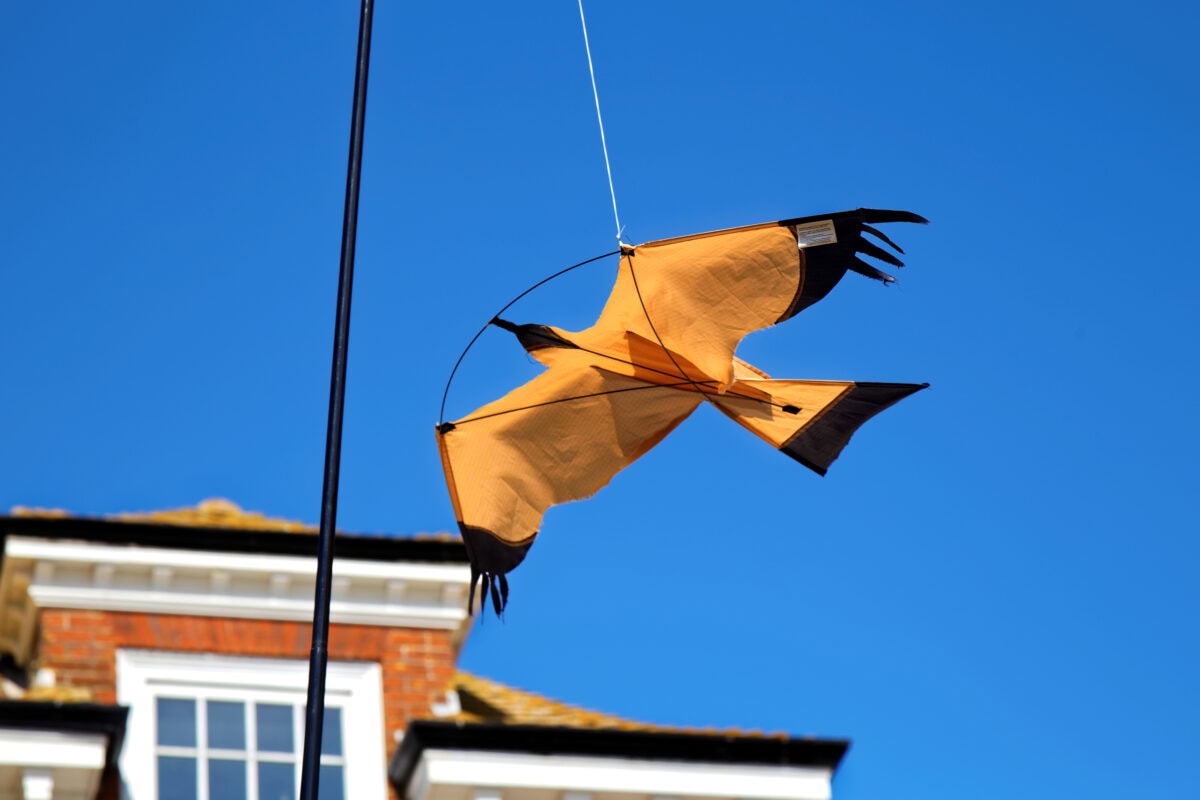 Vlieger in de vorm van een vogel voor een blauwe lucht en huizen.