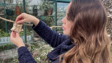 Anne Wieggers hangt een vogelslinger op in haar tuin.