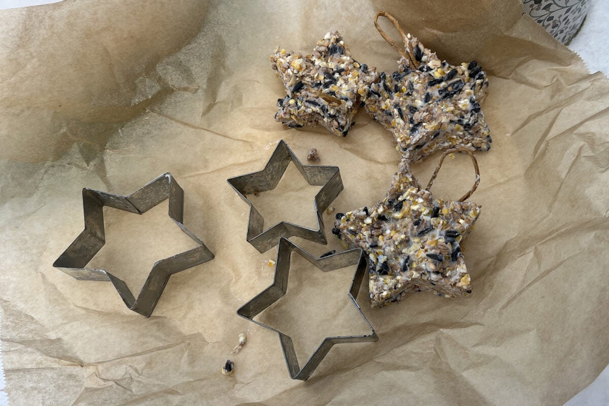 Uitsteekvormpjes in de vorm van sterren, voor het maken van een vogelslinger.