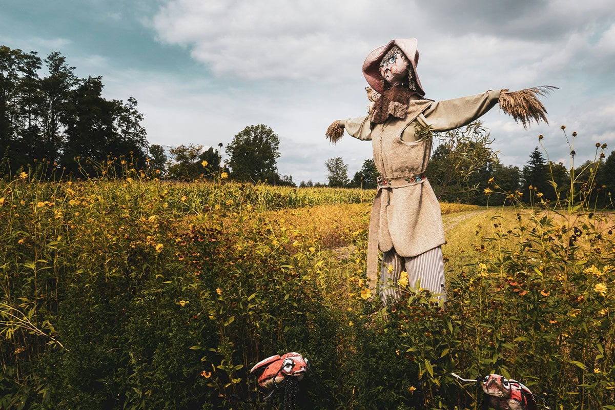Vogelverschrikker met twee kleine vogelverschrikker in de vorm van lieveheersbeestjes in een groot veld met bloemen.