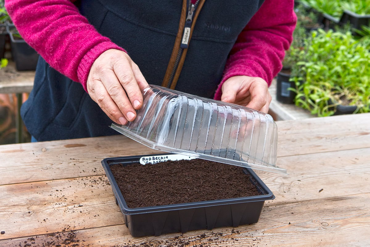 handen doen deksel op zaaitray