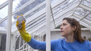 Vrouw maakt met een spons het glas van de kas in de tuin schoon.