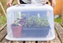 Iemand zet een plastic box omgekeerd over gekweekte plantjes.