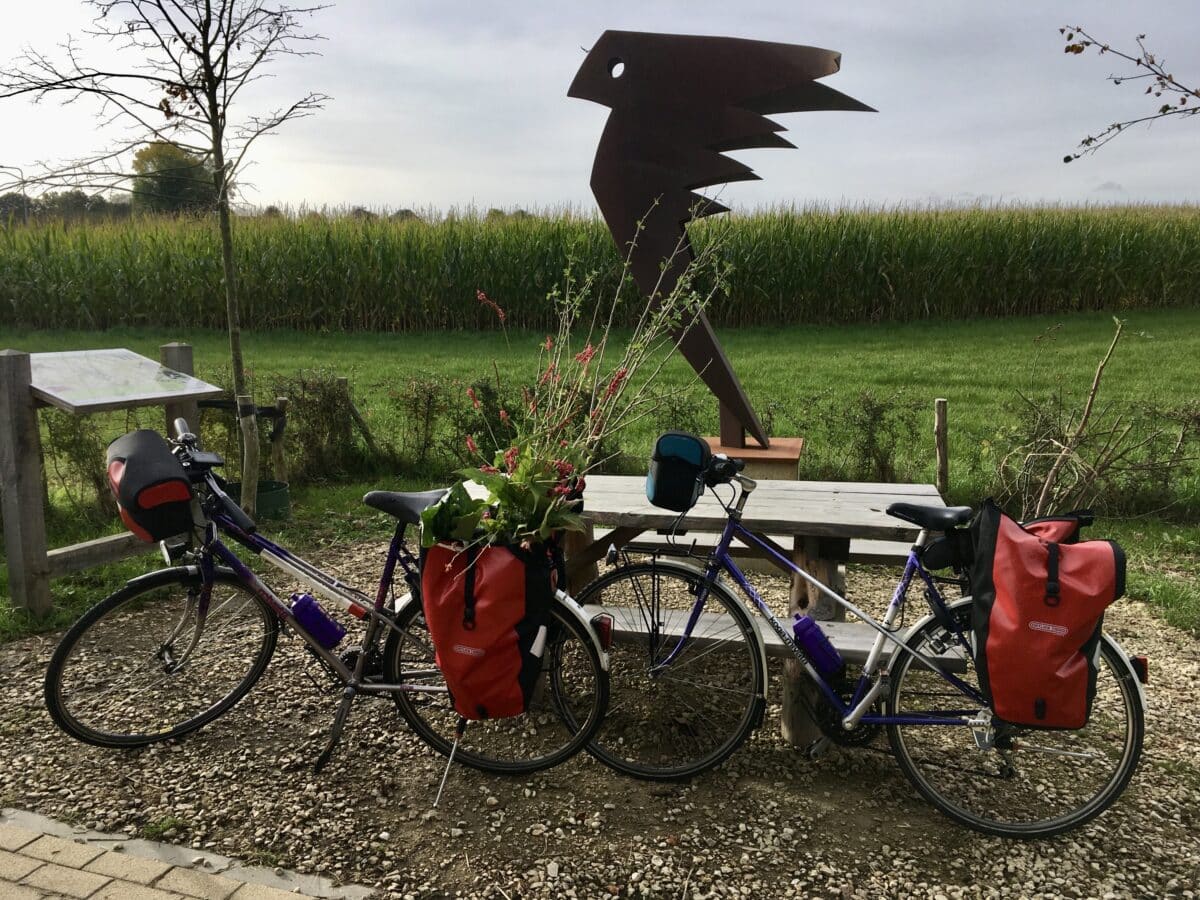Fiets bij een picknicktafel, in de fietstassen zitten planten waaronder een roos.
