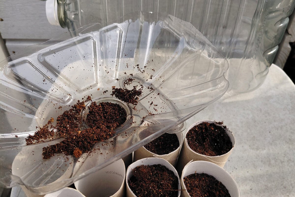 Plastic trechter van een hergebruikte azijnfles, met aarde erin.