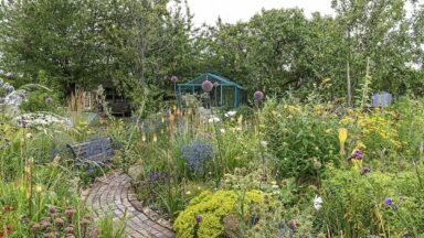 moestuinpad aanleggen met klinkers