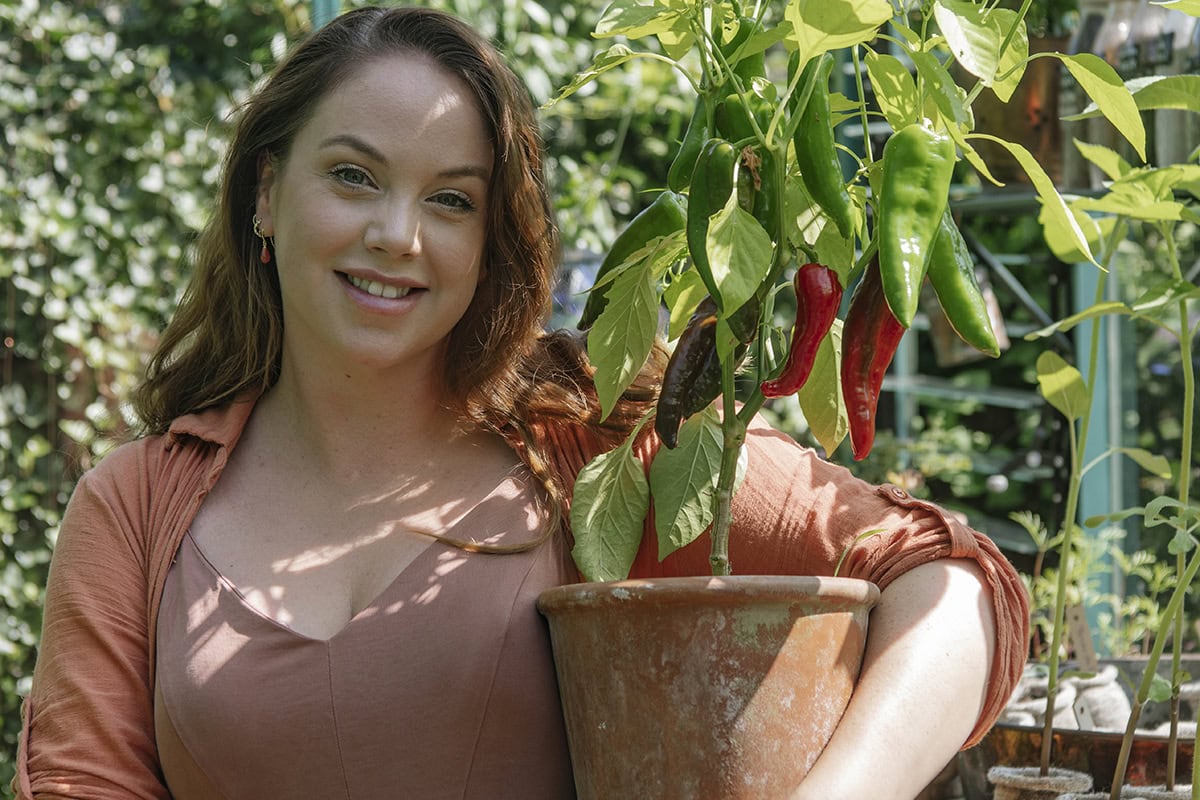 Anne tilt haar paprikaplant op.