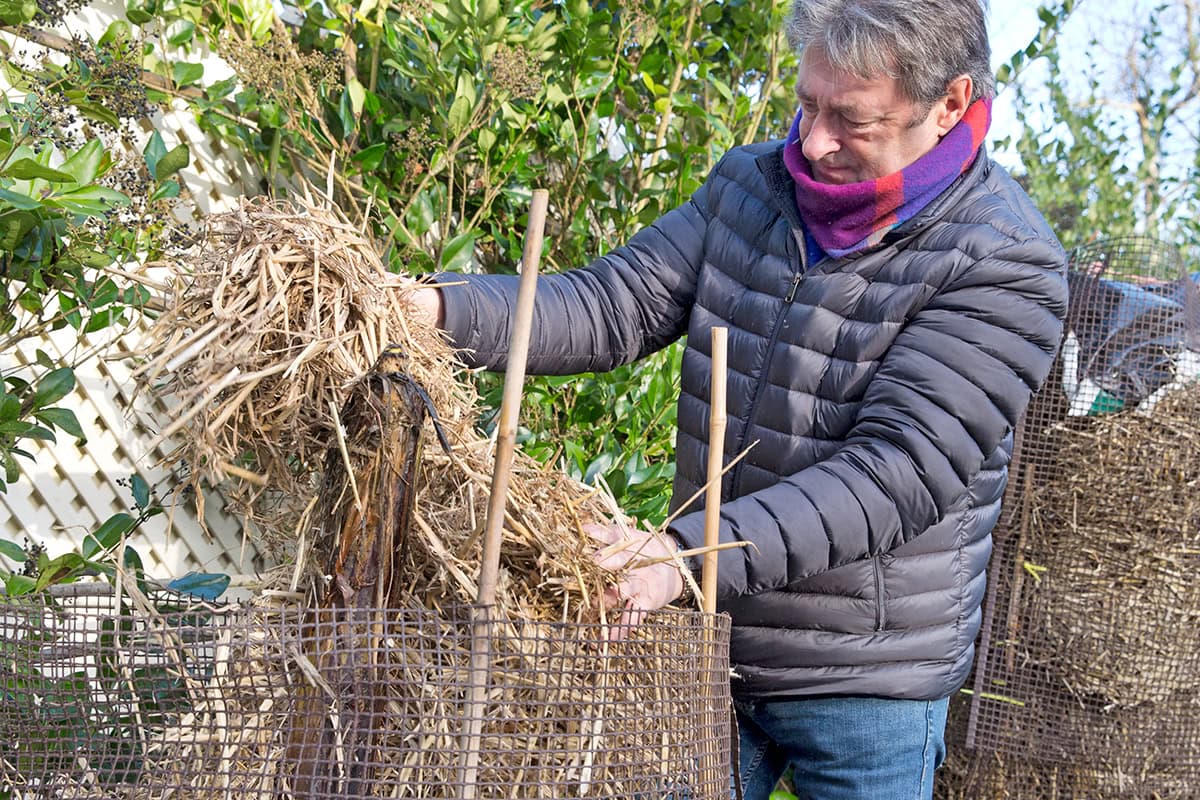man stop stro rondom stam van banenenplant