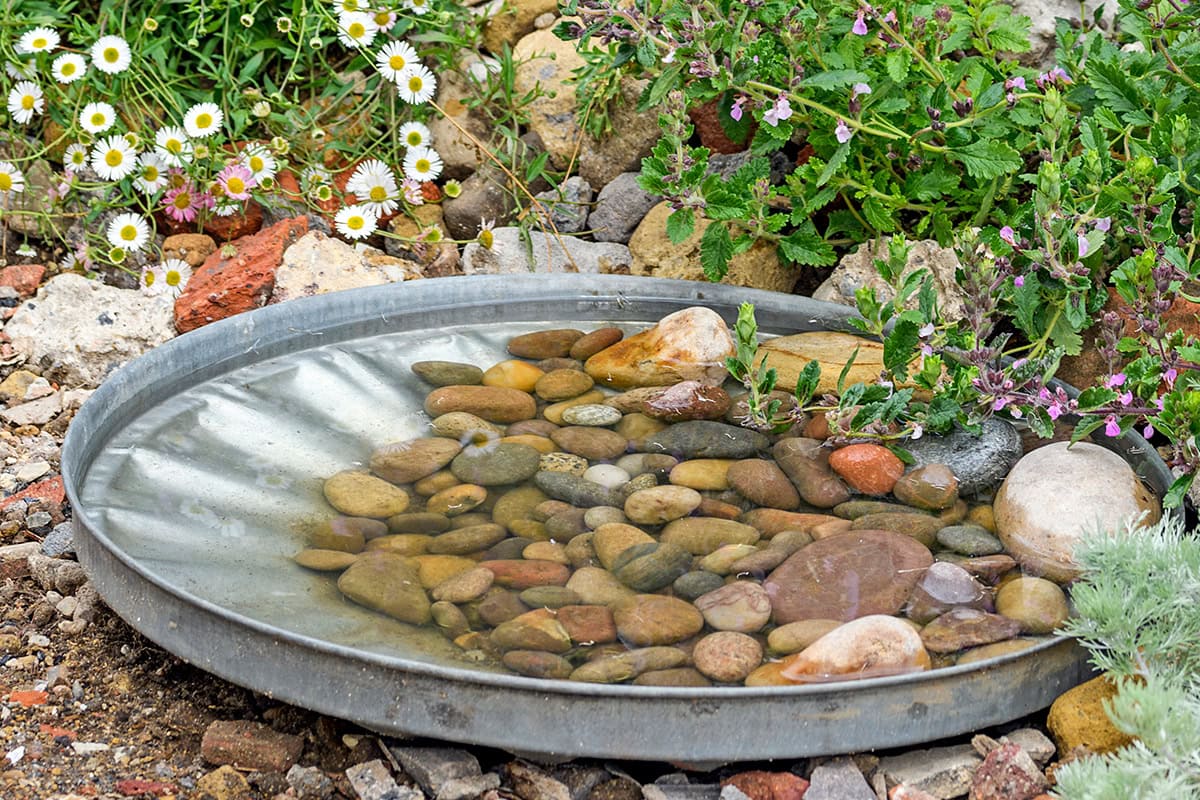 deksel met kiezelstenen en water in de tuin
