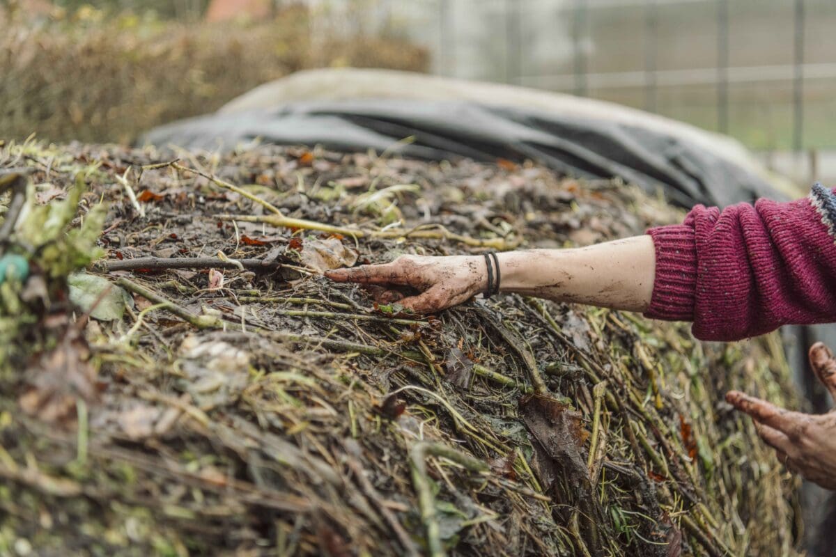 Een hand wijst een deel van de bokashihoop aan.