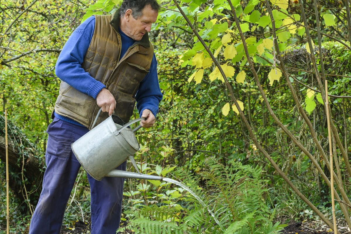 Monty Don geeft varens water in zijn tuin.