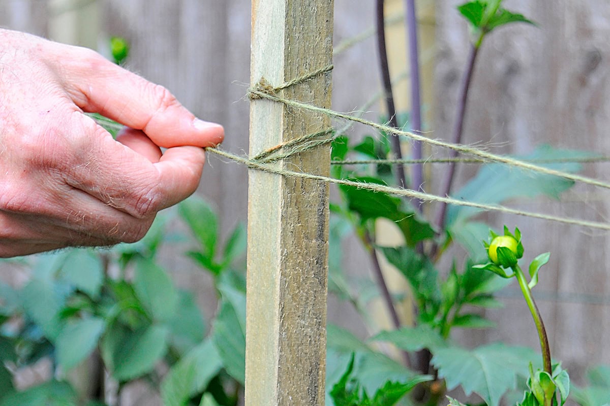 Hand houdt touw vast dat gebonden is om paal.