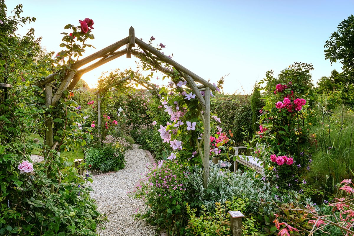 Tuin met pad met daarover een houten boogconstructie.