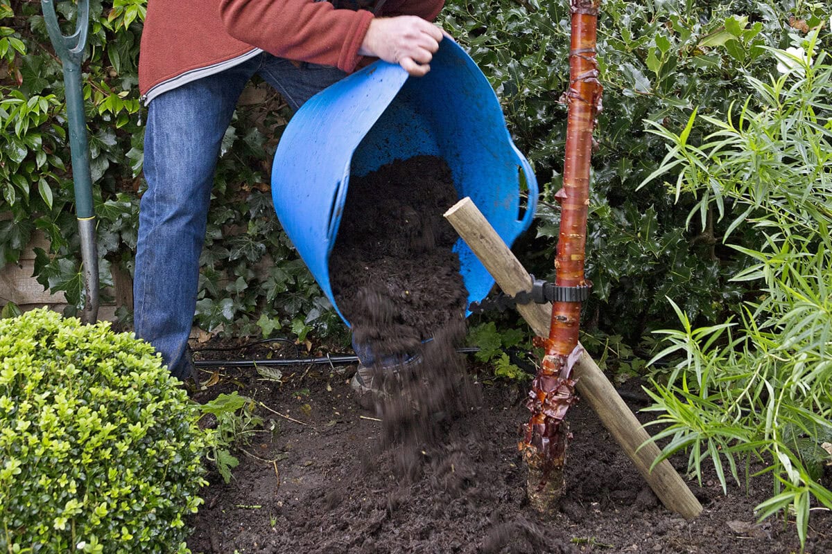 Plantgat met boompaal wordt gevuld bij het planten van een boom.