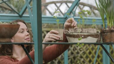 Anne is bezig met zaailingen in de kas.