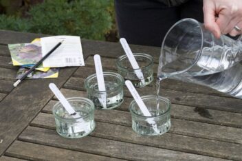 zaden weken voor het zaaien