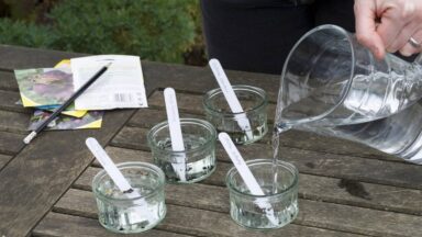 zaden weken voor het zaaien