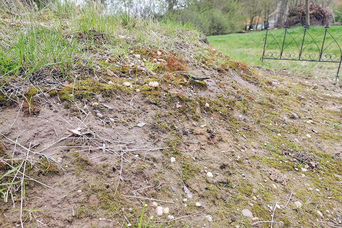 Modder en leem heuveltje met lichte begroeiing.