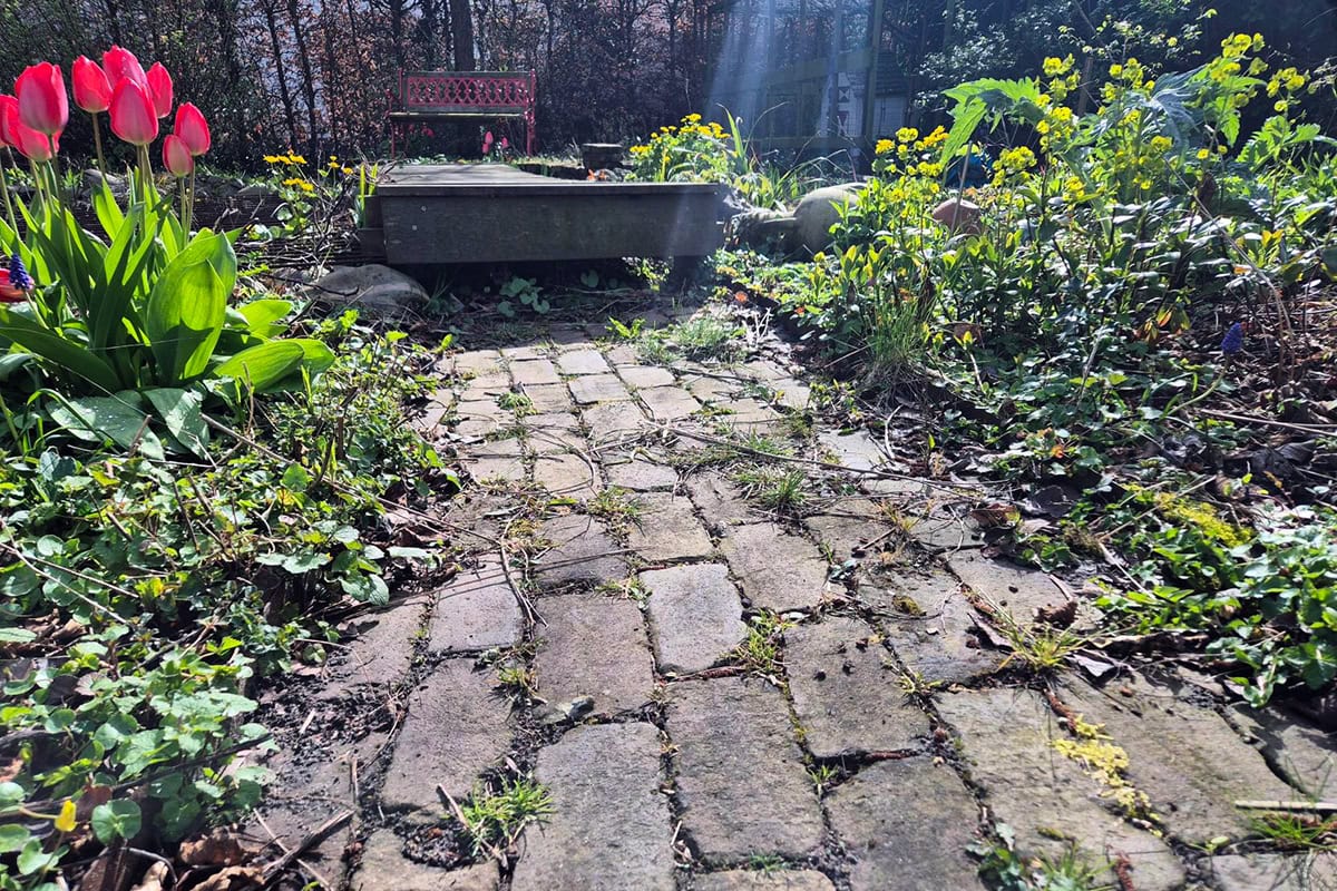 tuinpaadje met oude stenen en weelderige groei