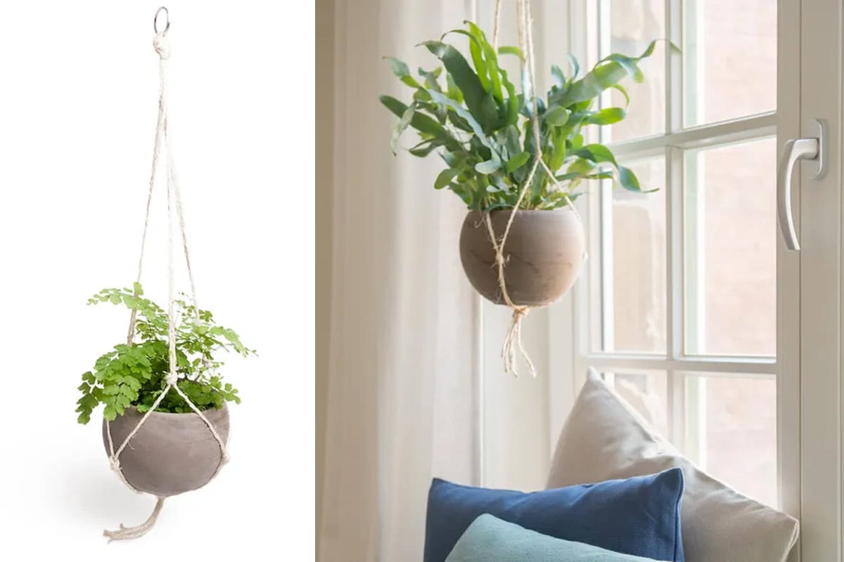 Links een terracotta plantenpot met ophangkoord, rechts ook maar nu met plant en tegen een achtergrond van een kamer met raam.