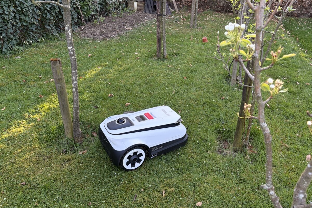 Robotmaaier in een boomgaard in de tuin, op gras.
