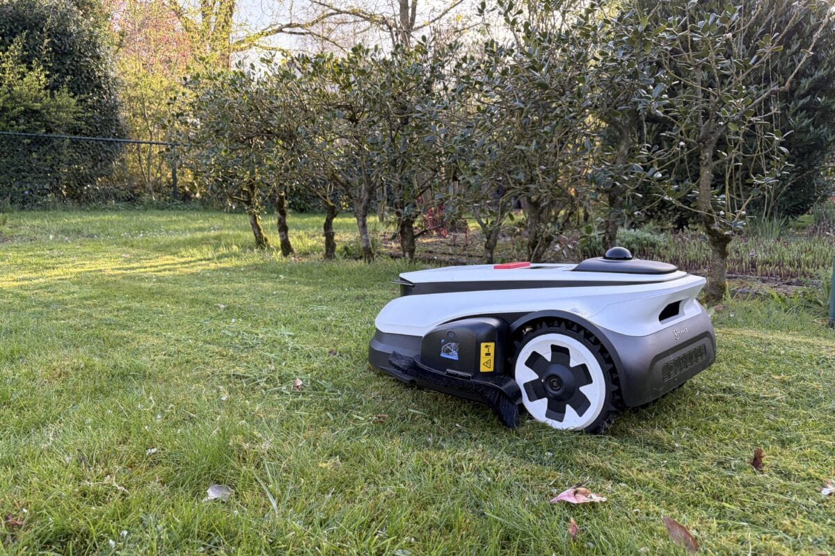 Robotmaaier in de tuin, op het gras